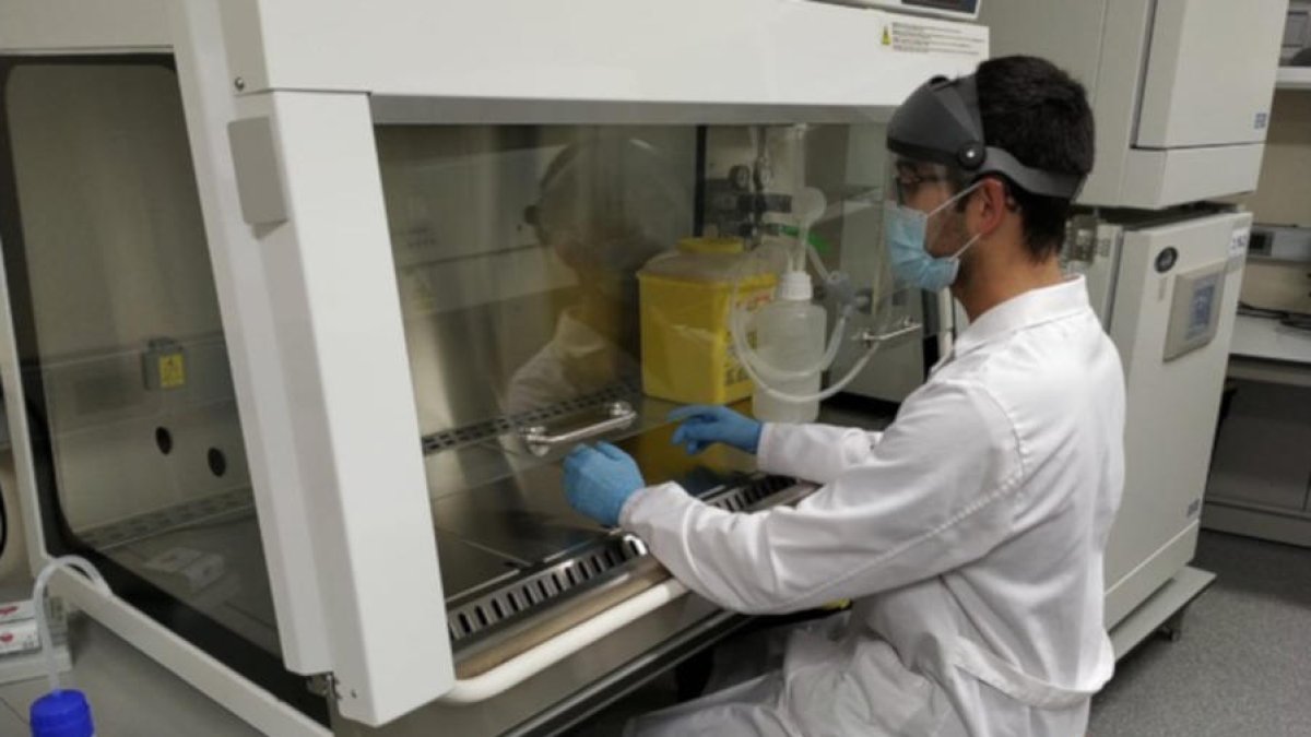 Un investigador treballant al laboratori.