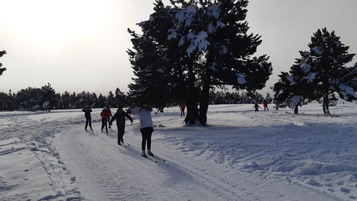 Escolares en clases de esquí nórdico.