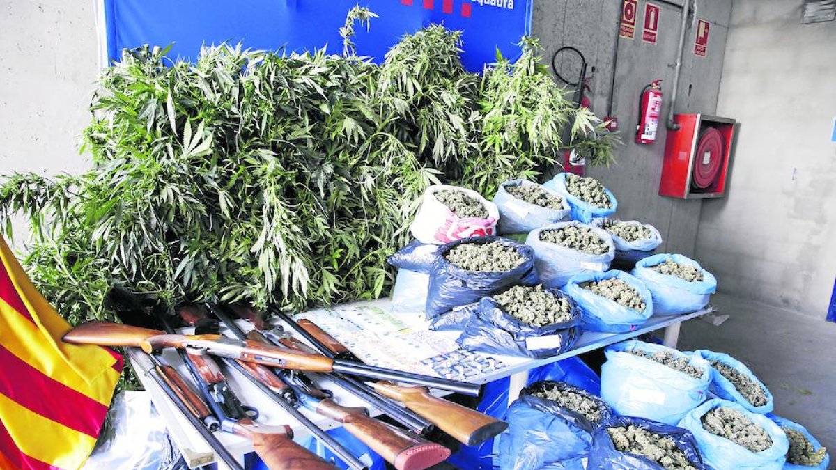 Els Mossos van decomissar 60 quilos de cabdells, set escopetes i 15.000 euros en metàl·lic al clan.