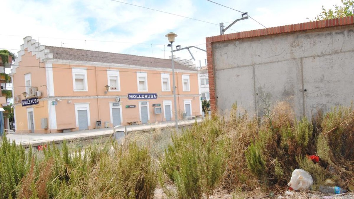 Les males herbes creixen a prop de la l’estació.