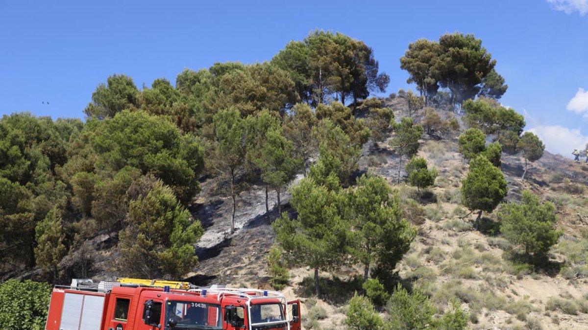 L’incendi de vegetació a la partida de Torres de Sanui.