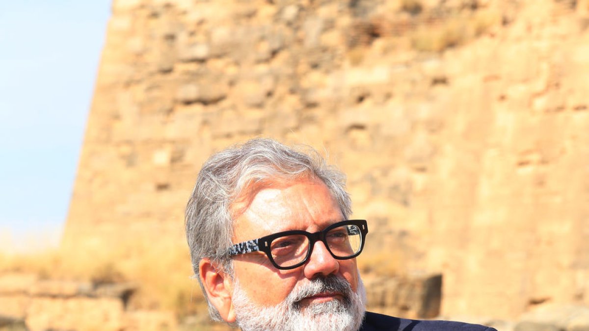 ‘Arbres de plàstic falsos’