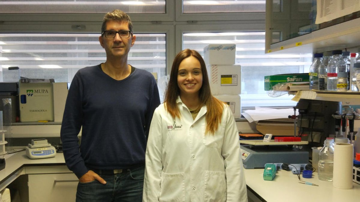 Els investigadors de l’IRBLleida Daniel Sanchis i Aida Beà.