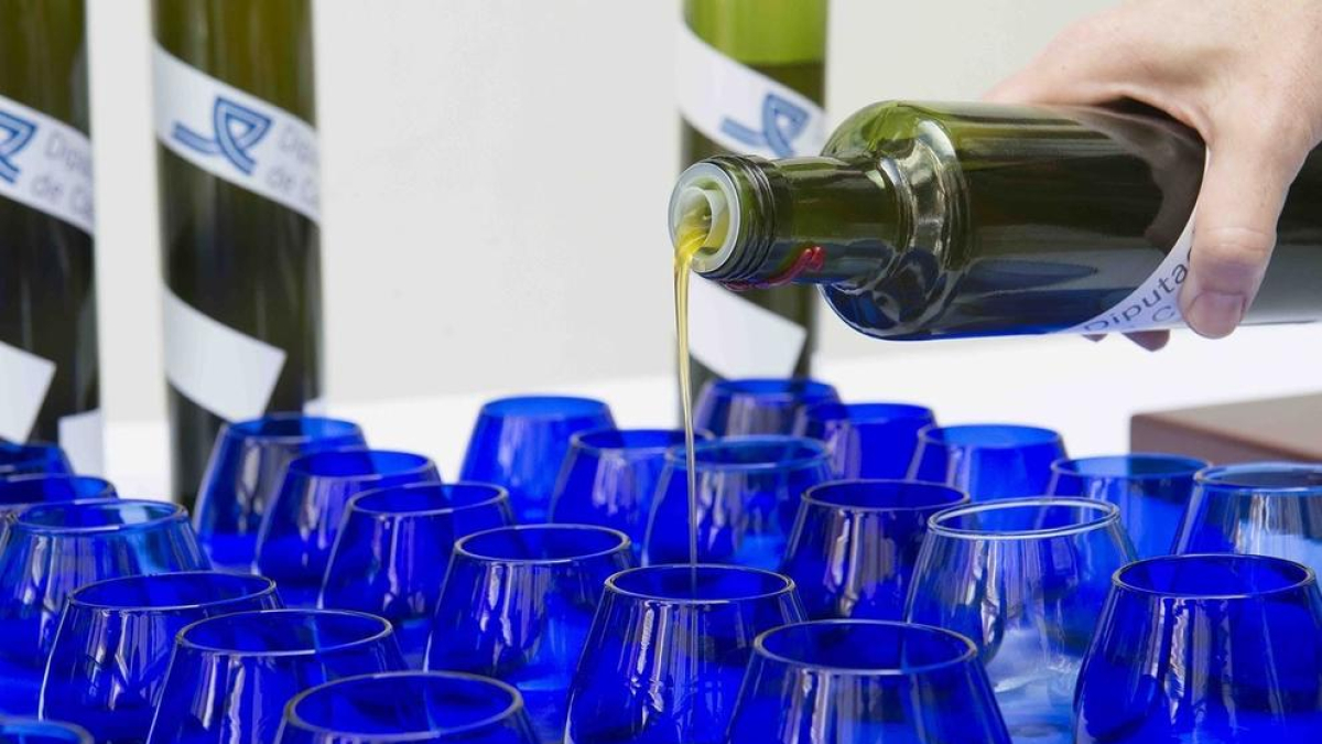 Preparació de mostres d’oli d’oliva per efectuar un tast a cegues.