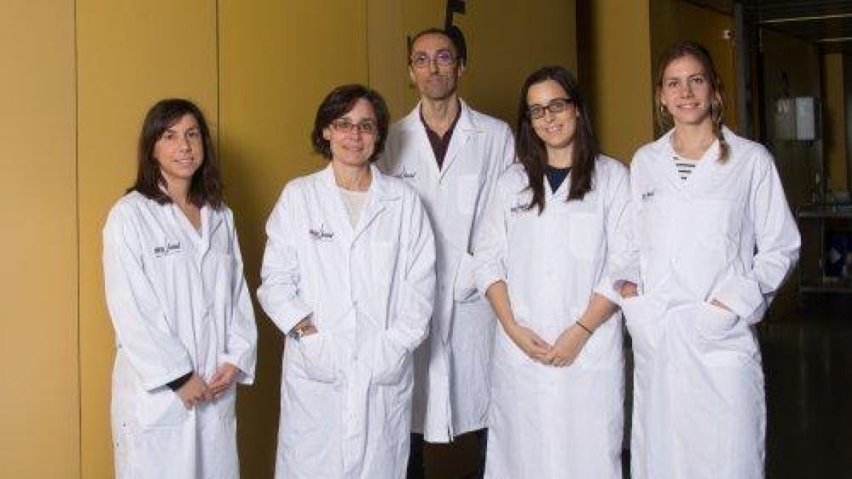 Investigadors lleidatans aconsegueixen un avenç contra un tumor cerebral agressiu