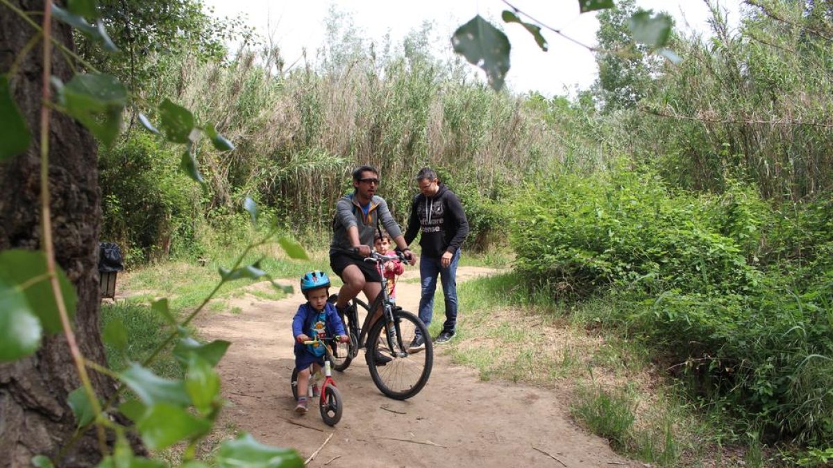 Una família amb bicicleta al Parc de la Mitjana de Lleida el mes de juny passat.