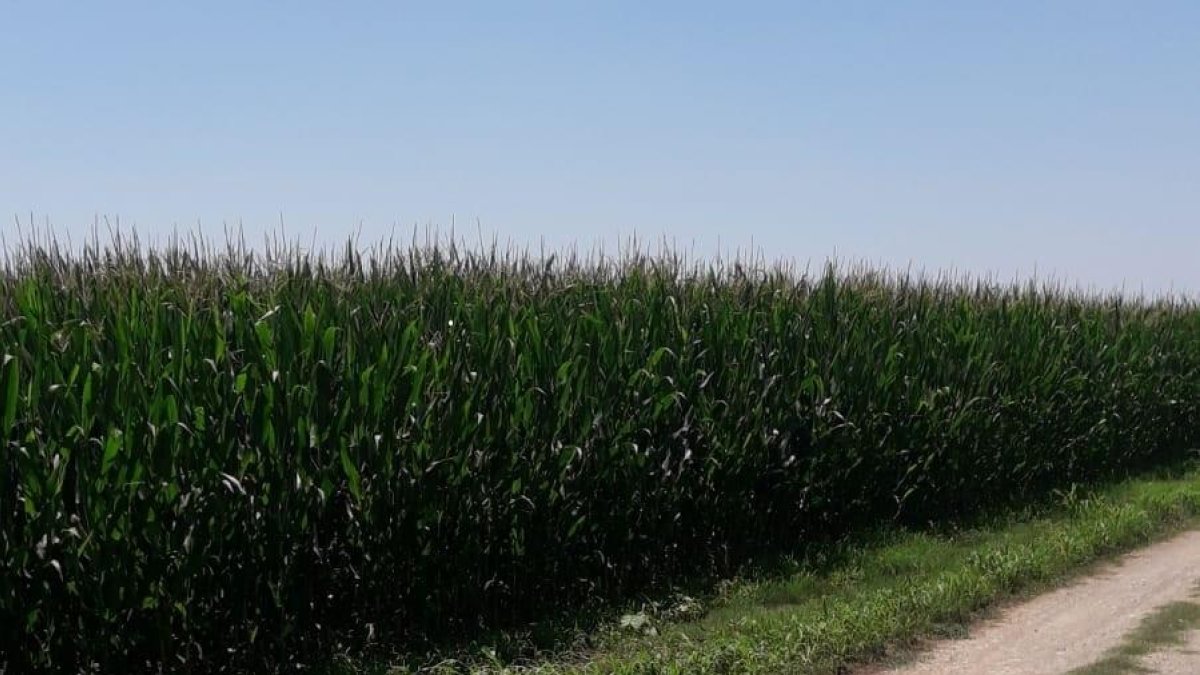 Térmens cierra un camino por un vertido de basura