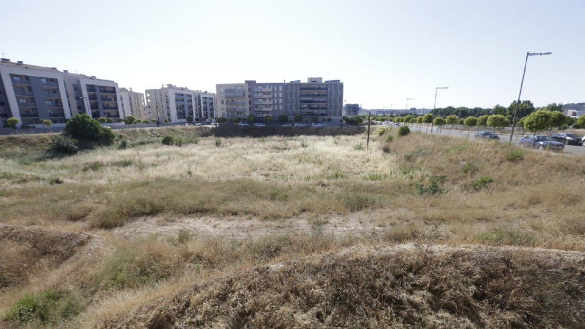 Veïns de Copa d’Or demanen netejar els solars per evitar incendis