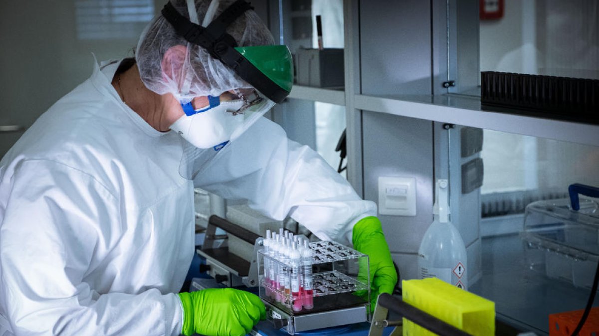 Un tècnic d’un laboratori treballa per trobar una vacuna.