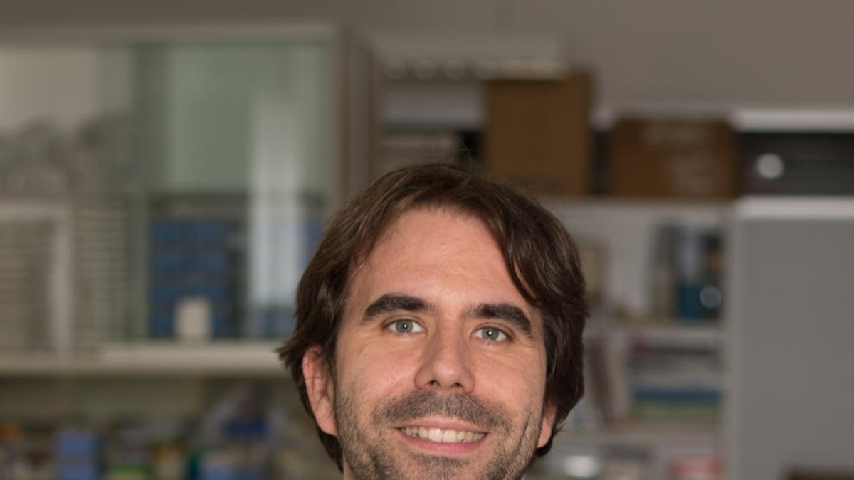 El responsable de la Unidad de Trastornos Congitivos, Gerard Piñol.