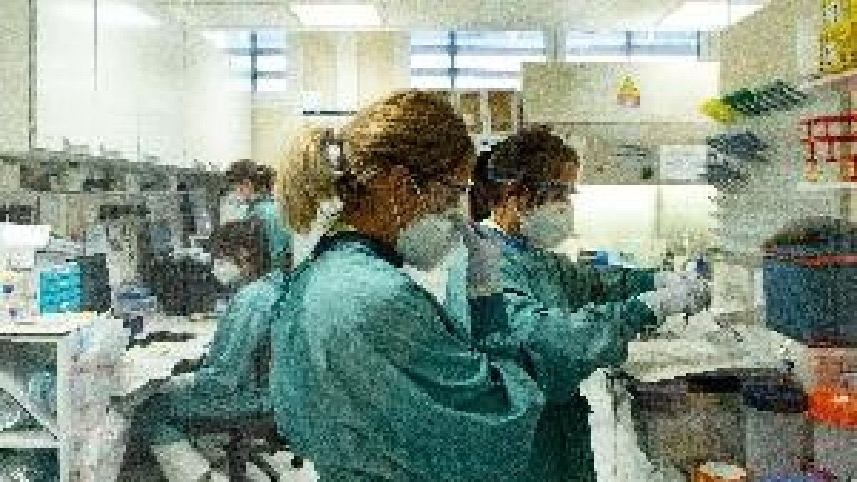 El coronavirus continua el seu avenç a Catalunya