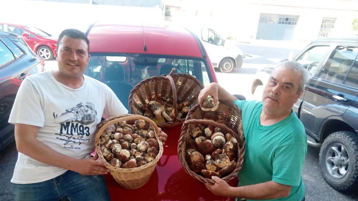 Joan Mora y Manel Muñoz, ‘boletaires’ de Cervera que ya han salido a recolectar setas.