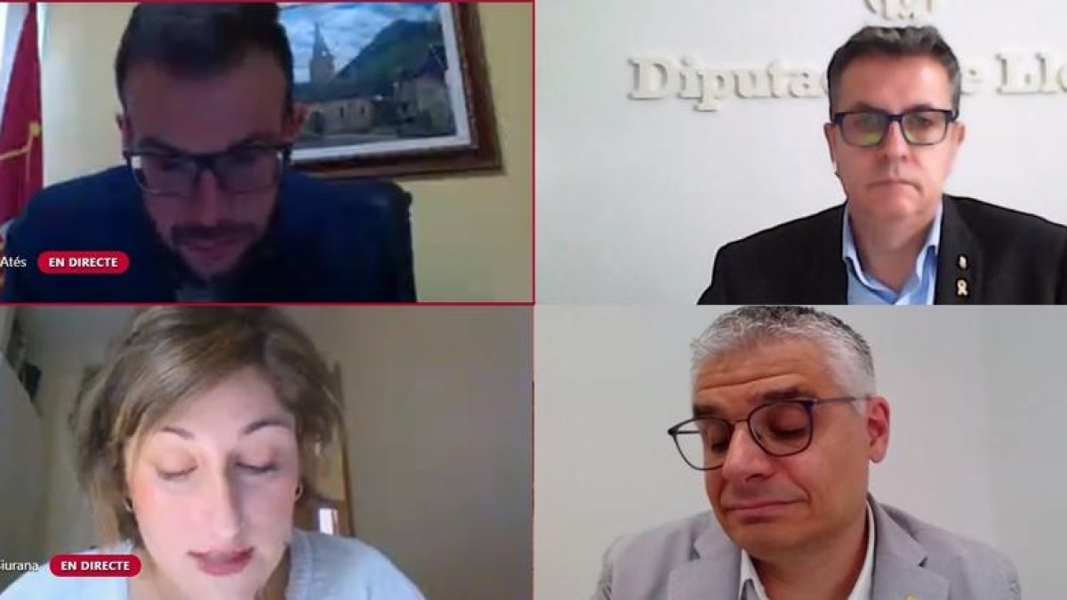 El president, Joan Talarn, a dalt a la dreta, i altres diputats al ple telemàtic d’ahir.