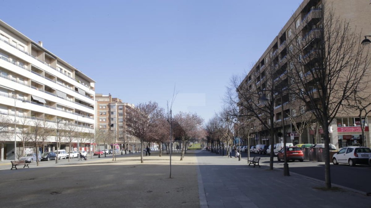 El carrer Corregidor Escofet de Lleida, ahir, hores després de la baralla entre joves magrebins.