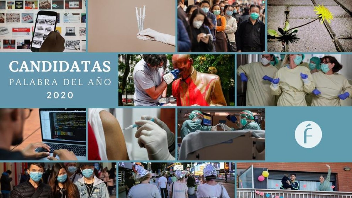 Éstas son las 12 candidatas a palabra del año