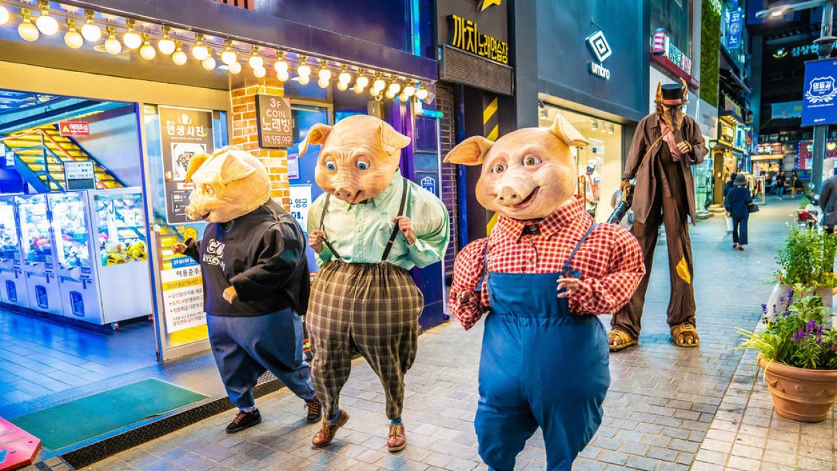 Campi Qui Pugui mostrará en Manresa el show de calle ‘Pigs’.