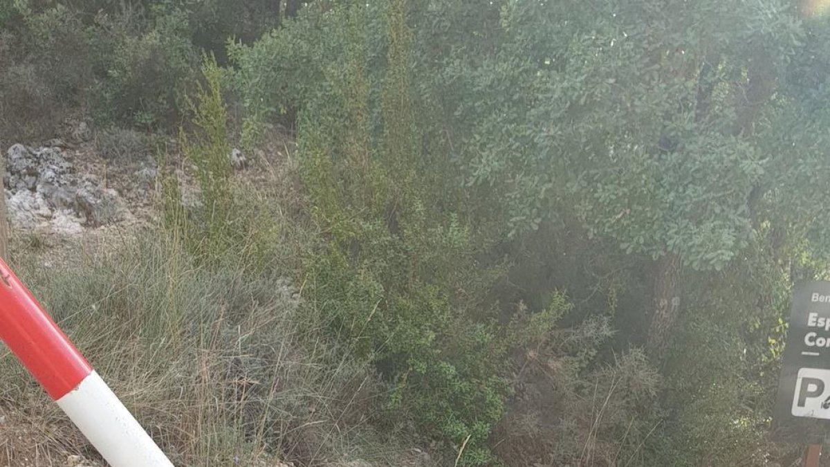 La barrera d’accés va ser arrancada del pal de fusta.
