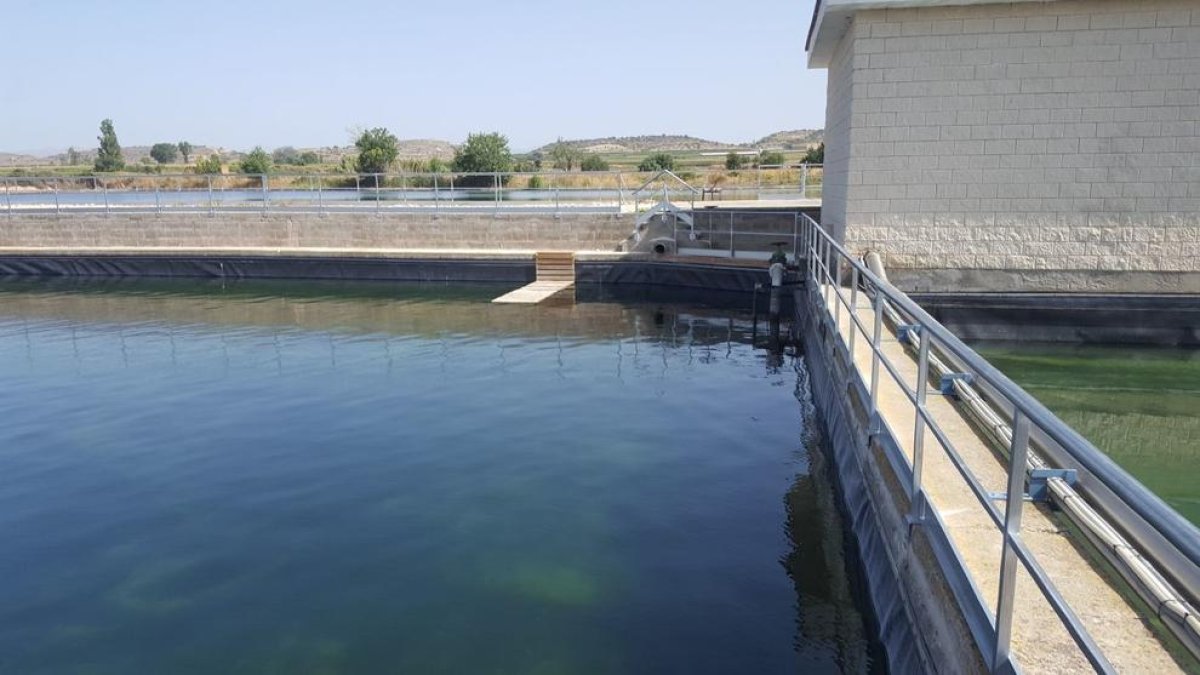 Imagen de archivo de uno de los embalses de Linyola.