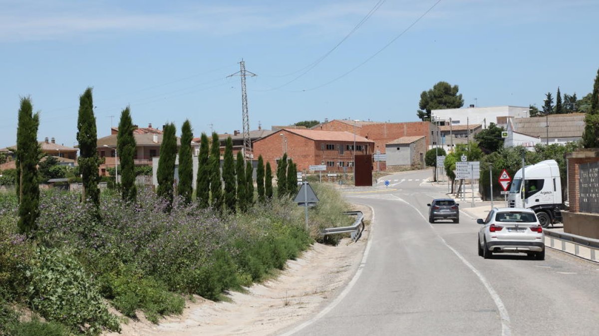 Planten prop de 140 arbres a la banqueta del canal a Arbeca