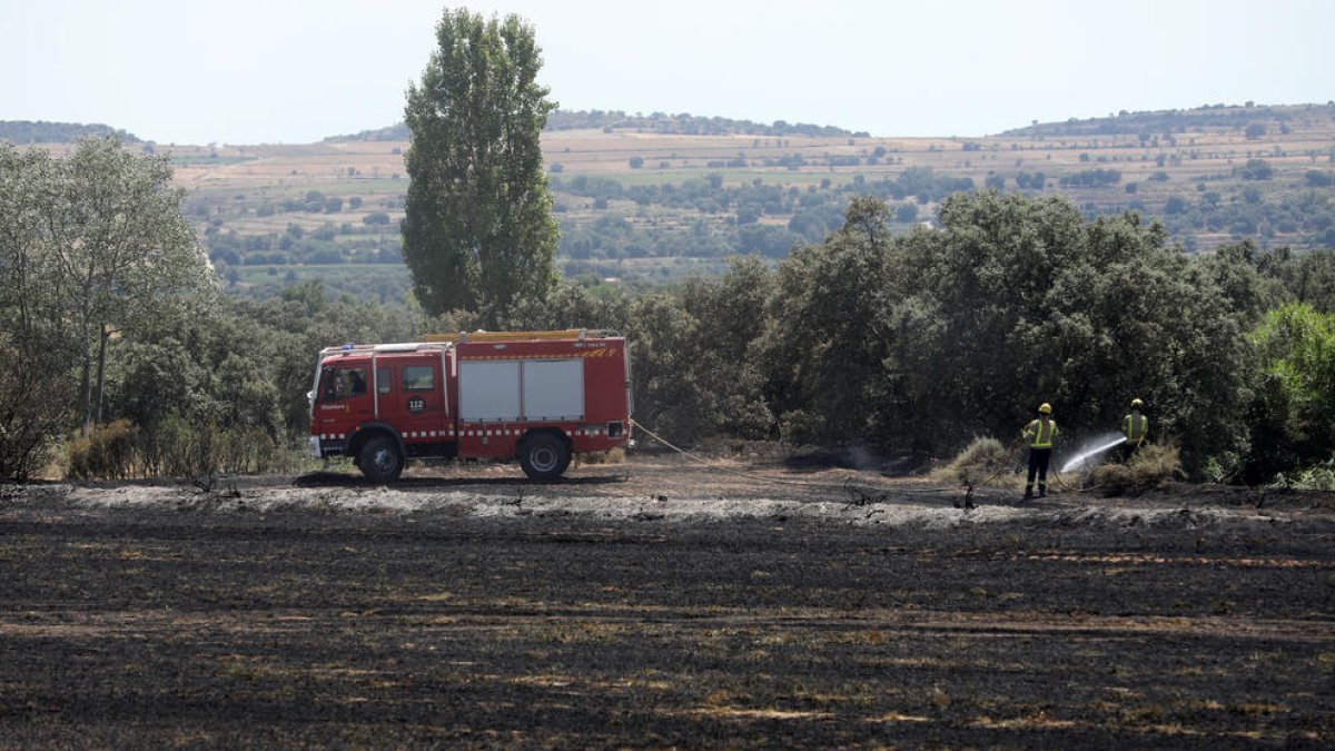 Efectivos de los Bomberos de la Generalitat en las tareas de extinción del incendio en Cubells.