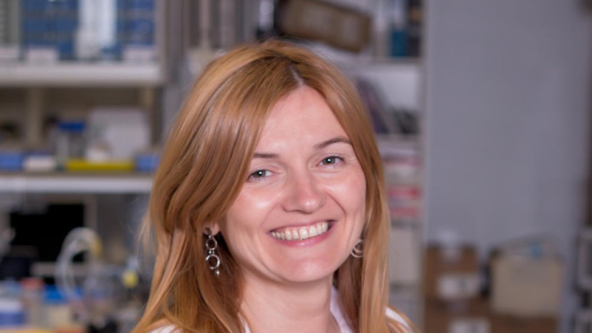 Montserrat Gea, investigadora i professora de la UdL.