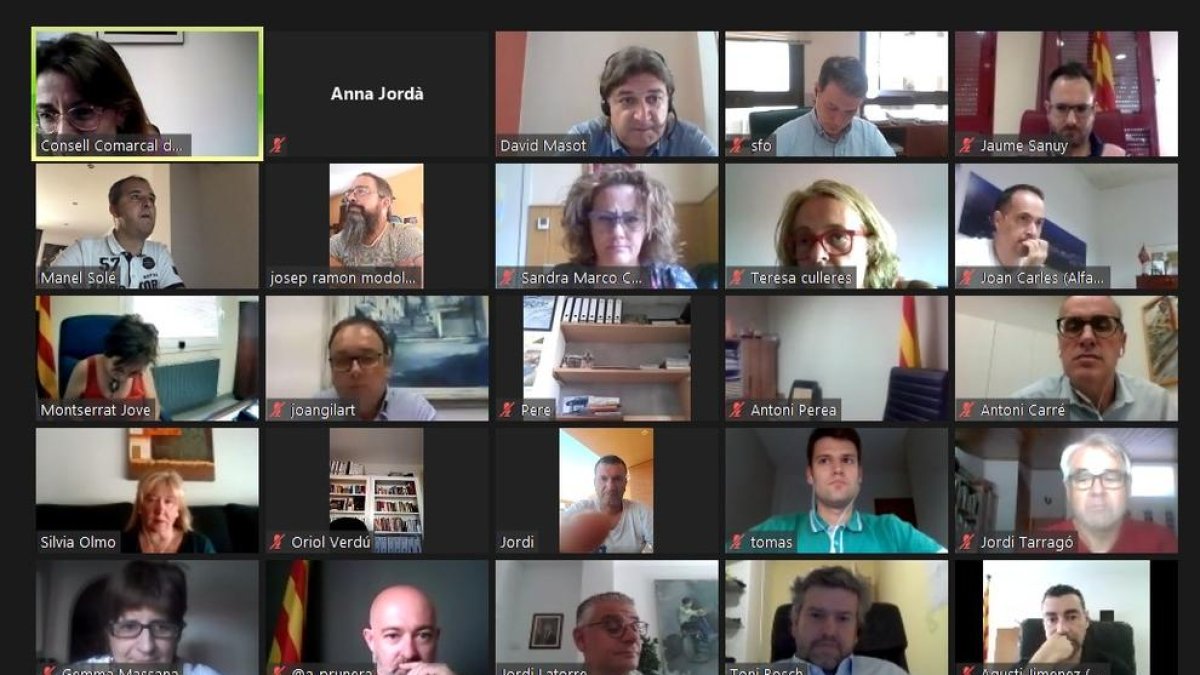Imagen del pleno del consell telemático de alcaldes del Segrià.
