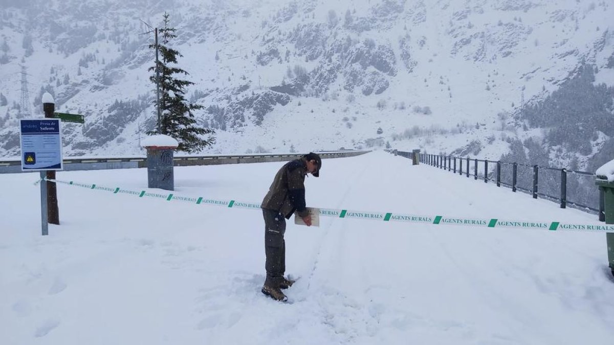 Un agente rural cerrando esta semana el paso a la presa de Sallente, en la Vall Fosca.