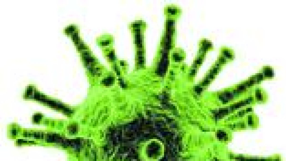 «Las secuelas psicológicas del virus pueden cronificarse»