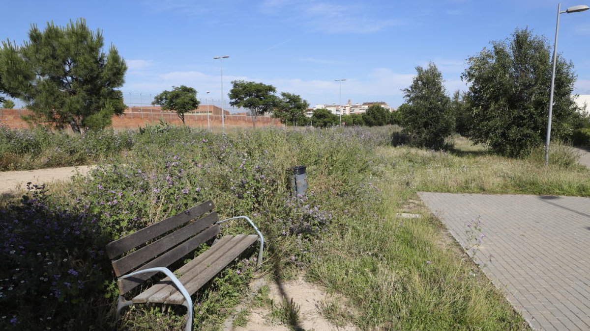 Veïns critiquen el mal estat dels parcs per a gossos