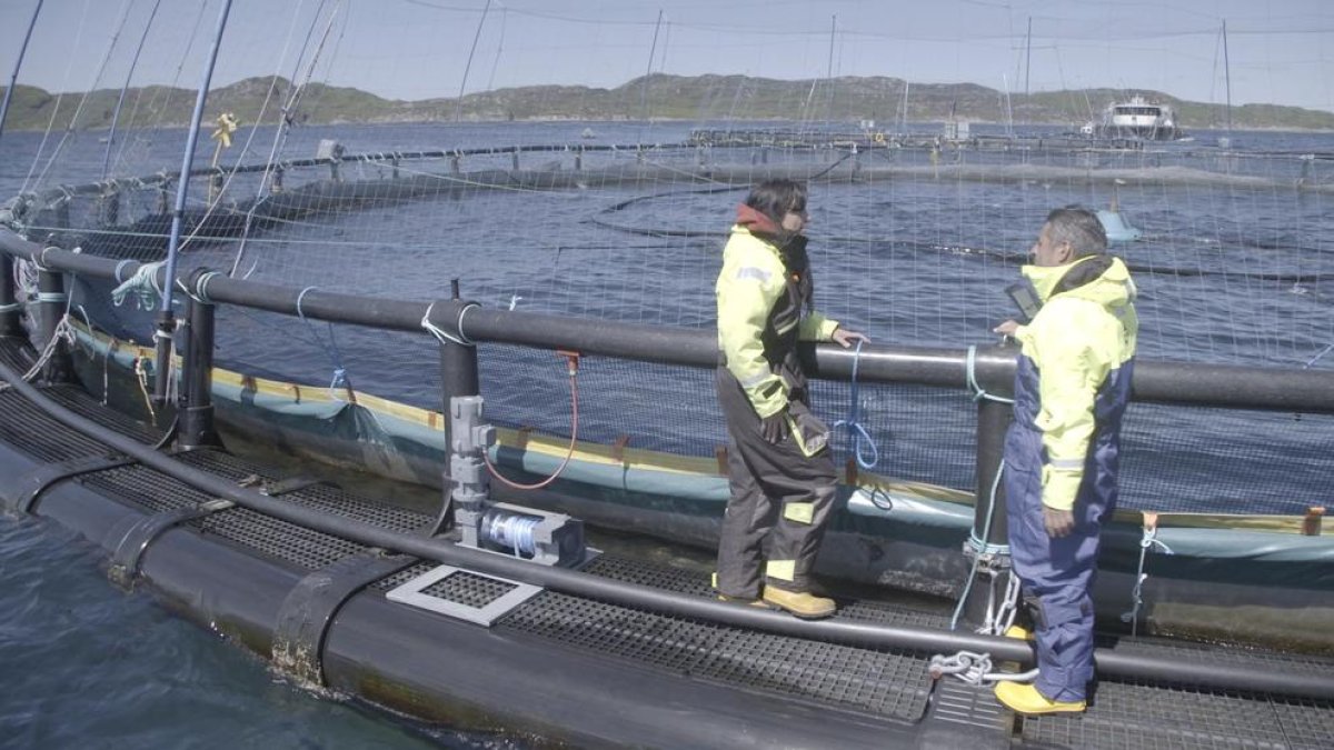 Lucha contra la despoblación