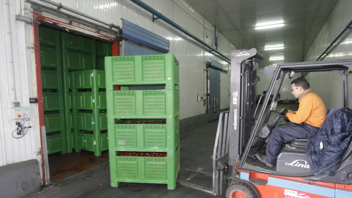 Los trabajadores de las cámaras de fruta tienen que cobrar un mínimo de 7,08 euros la hora
