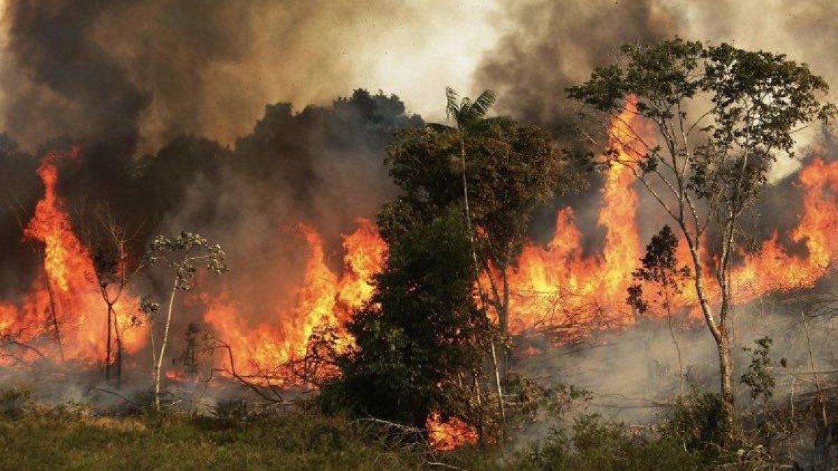 Un dels milers d’incendis actius i fora de control a l’Amazònia brasilera.