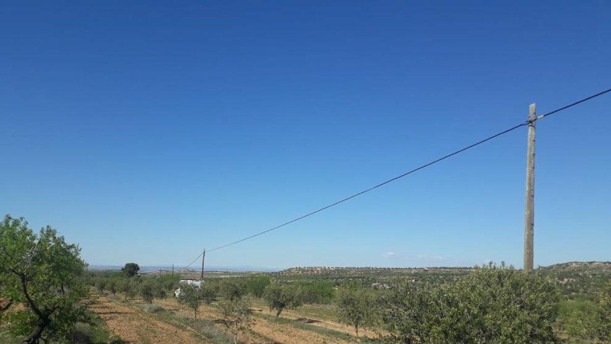 Els cables de Granyena de les Garrigues, ja reparats.