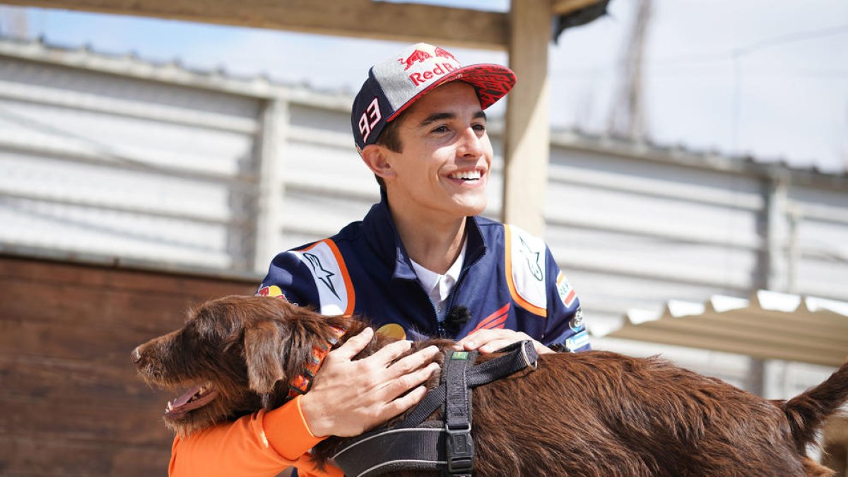 Marc Màrquez, amb el seu homònim pelut a la protectora Amics dels Animals de la Noguera.