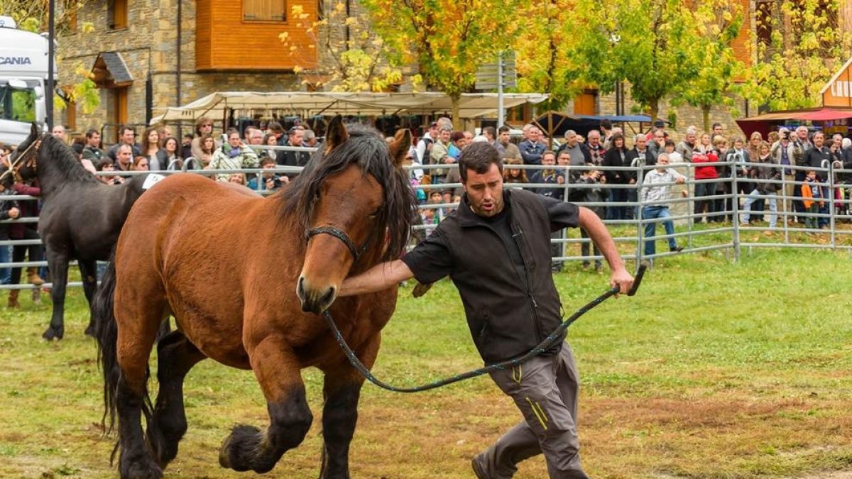 Mostra de cavalls durant la fira.