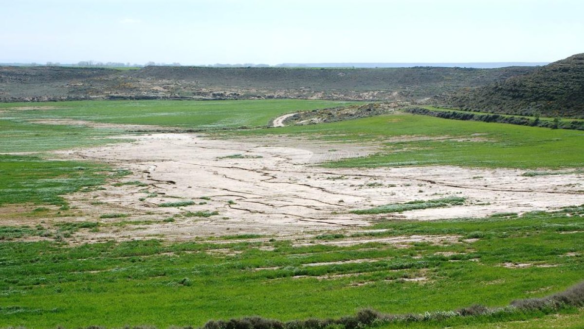 La salinització de les terres de cultiu es veu en algunes zones.