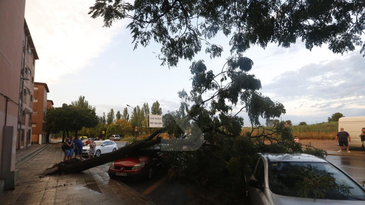 Una forta tempesta inunda carrers i tomba arbres a Lleida