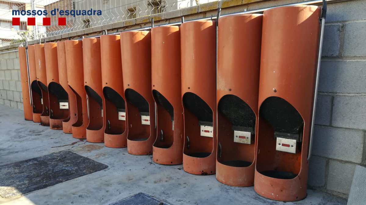 Denunciat un jove per robar tolves en una granja de Mollerussa