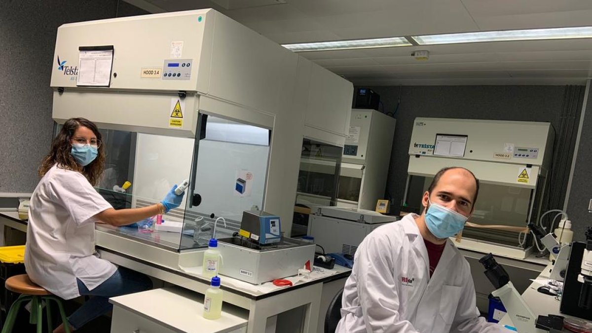 Dos miembros del equipo que trabaja en una de las investigaciones del IRBLleida.