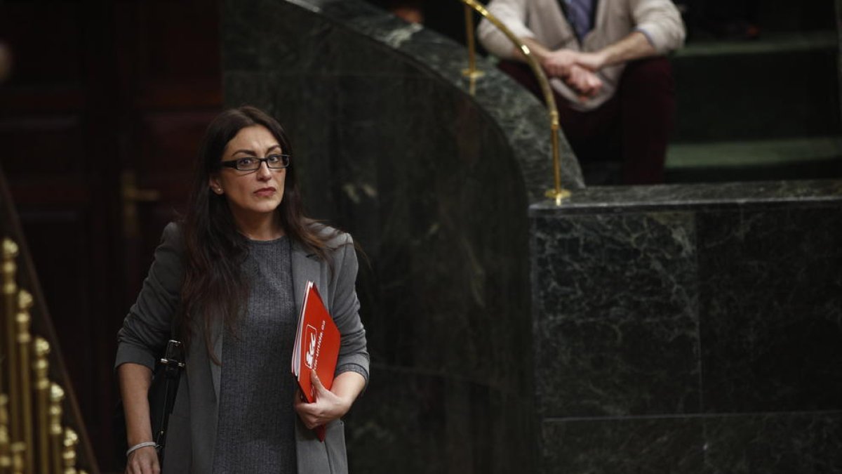 Sol Sánchez, de IU, ha reemplazado a Errejón en el Congreso.
