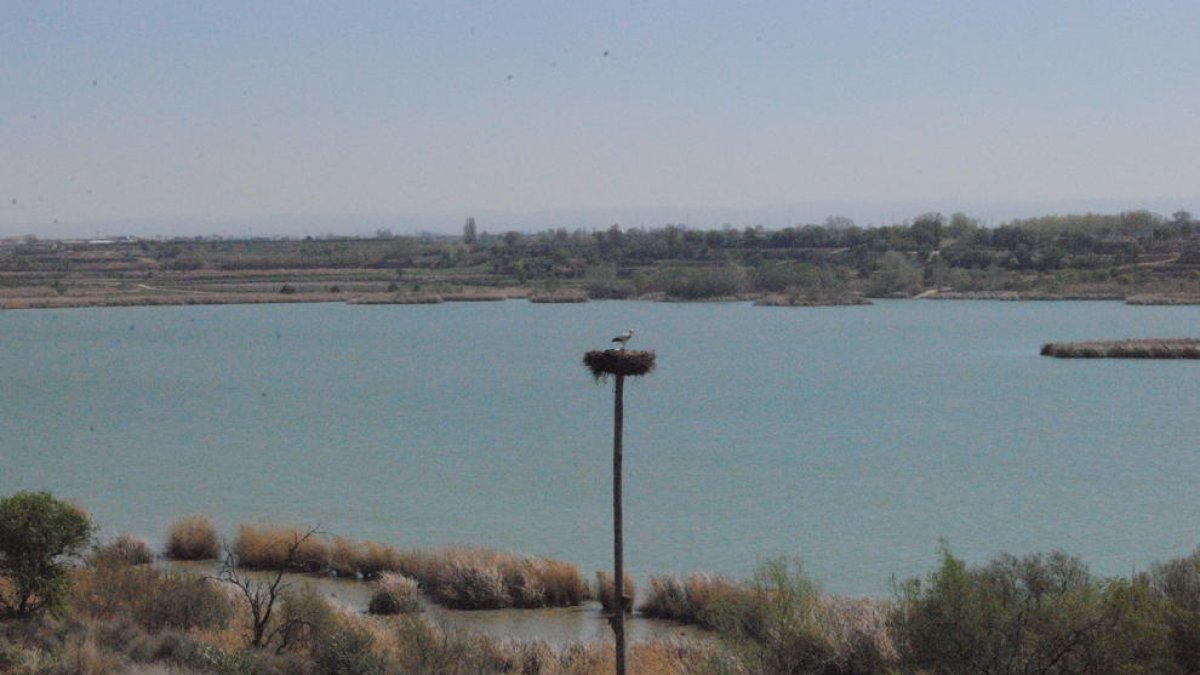Vista del Estany d’Ivars d’Urgell i Vila-sana desde Cal Sinén.