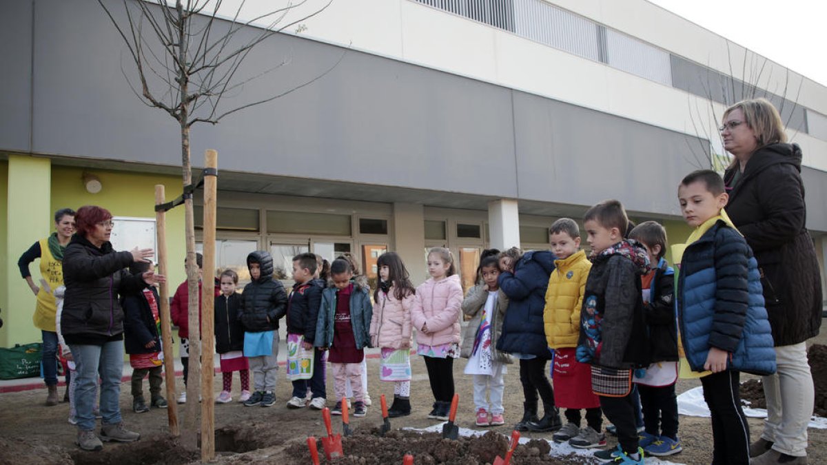 Moment que expliquen als més petits com plantar els arbres.