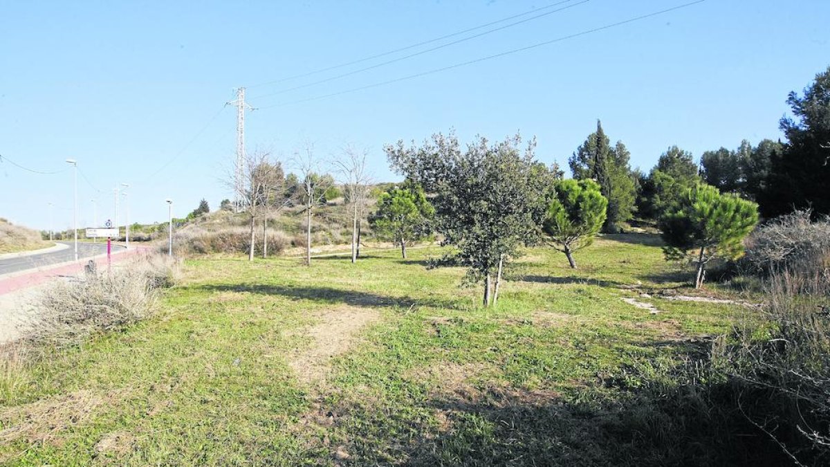 Lloc en què es preveu construir la zona de pícnic i barbacoes, darrere del turó de Gardeny.