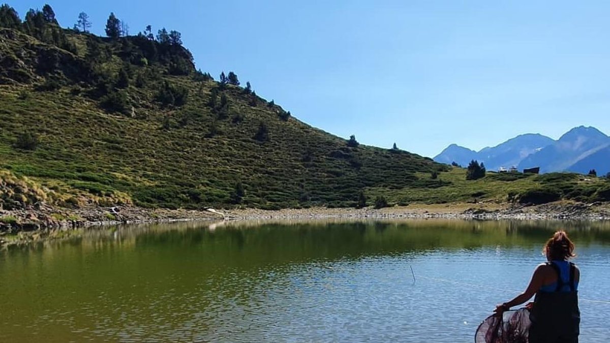 Una de les tècniques revisant les trampes del llac.