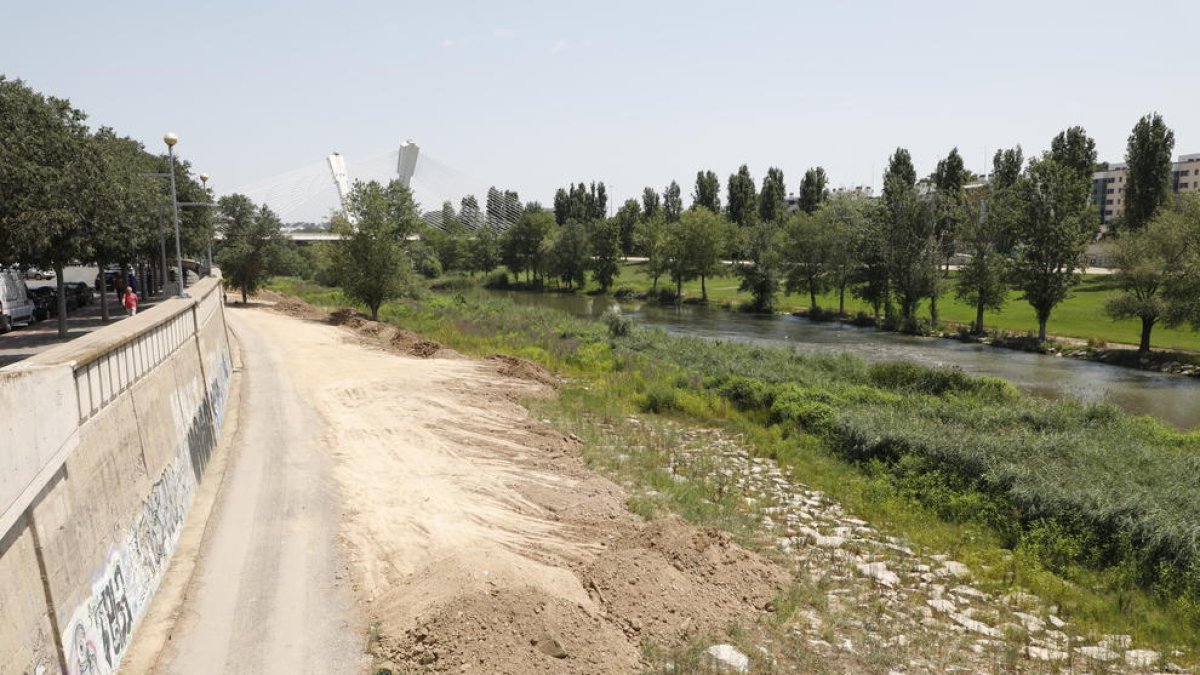 Imagen del margen derecho del río entre la pasarela de Camps Elisis y el puente de Pardinyes.