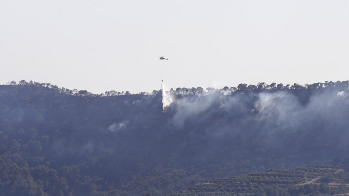 Un helicòpter intenta apagar el foc a la zona de cultius de Bovera, el 28 de juny.