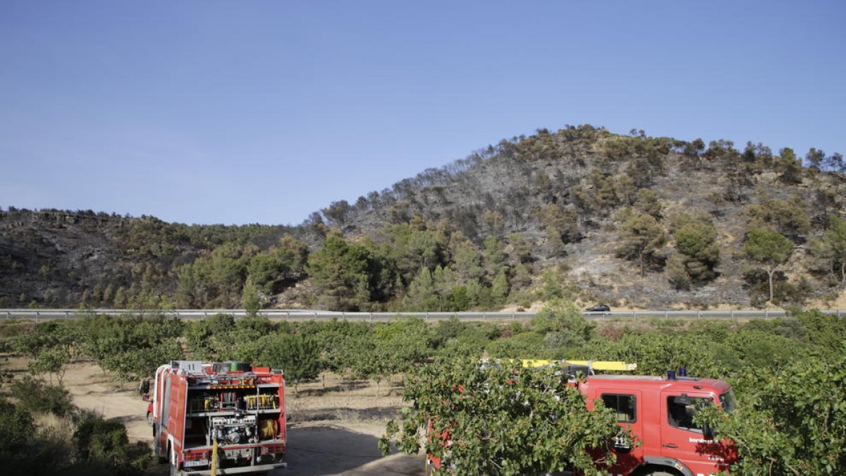 La zona de Mas de Noguers, a Maials, després de l’incendi que ha calcinat 27,5 hectàrees de vegetació.