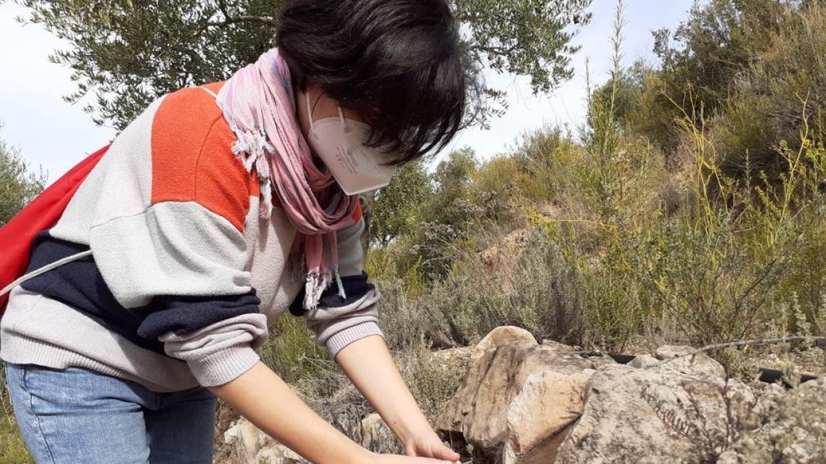 El moment en què un membre de Trenca allibera una de les tortugues mediterrànies.