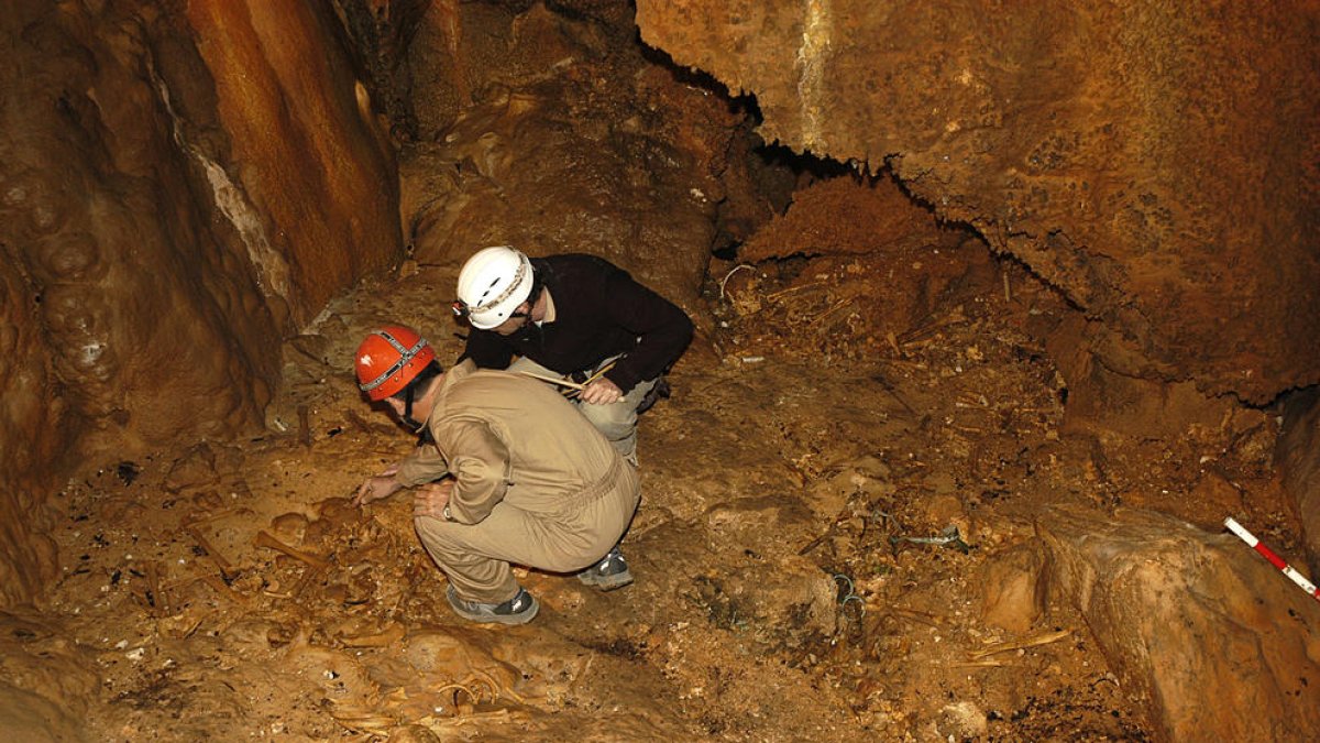 Dos arqueòlegs de l’equip de Joan López, en la intervenció a la cova de Montanissell.