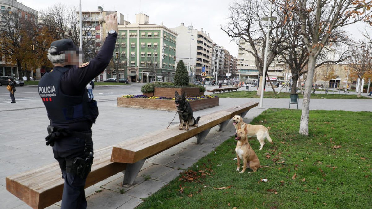 El cabo de la unidad con Sam, Nua y Nina, tres de los cinco perros del equipo, en un servicio en la estación del AVE Lleida-Pirineus.